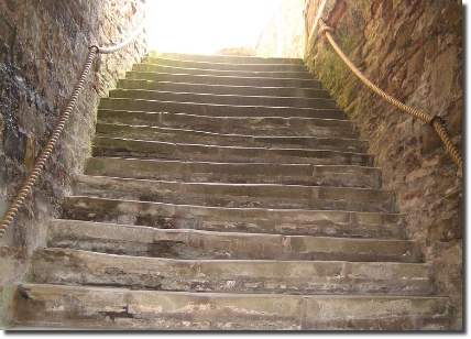 TripstepsCPweb